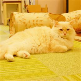 男の子　1歳5ヶ月