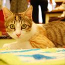 女の子　1歳2ヶ月