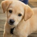 女の子　1歳5ヶ月