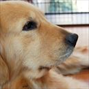 女の子　1歳5ヶ月