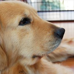 女の子　1歳5ヶ月